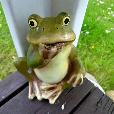 Appartement Moorfrosch *